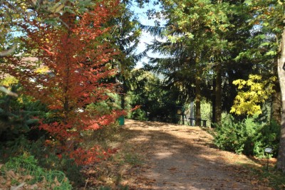 Horní park - cesta k vyhlídce 