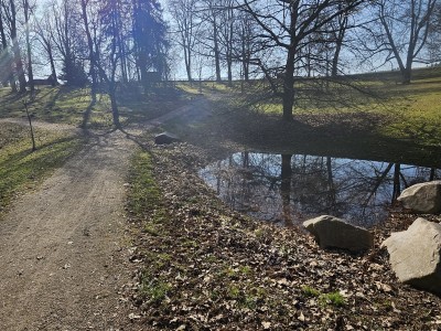2026 Předjaří v Arboretu Žampach (27.2.)