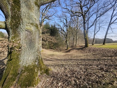 2026 Předjaří v Arboretu Žampach (27.2.)
