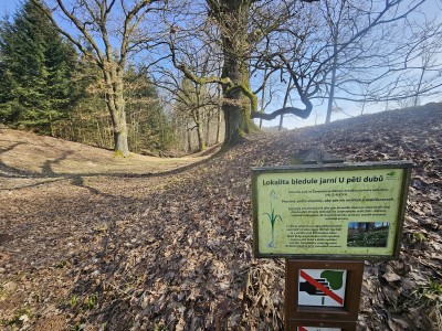 2026 Předjaří v Arboretu Žampach (27.2.)