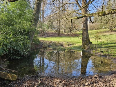 2026 Předjaří v Arboretu Žampach (27.2.)