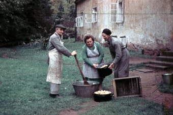 Z archivu - historie a současnost