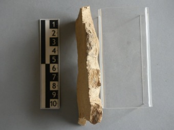 Z archeologických nálezů na hradě Žampach. Záchranný průzkum z let 1991 - 2000. Mgr. Cejpová.