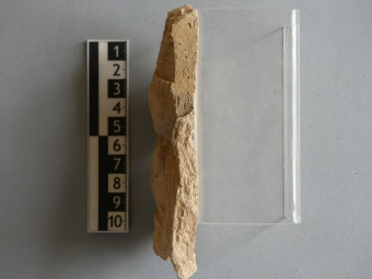 Z archeologických nálezů na hradě Žampach. Záchranný průzkum z let 1991 - 2000. Mgr. Cejpová.