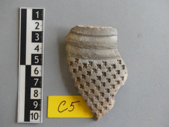 Z archeologických nálezů na hradě Žampach. Záchranný průzkum z let 1991 - 2000. Mgr. Cejpová.