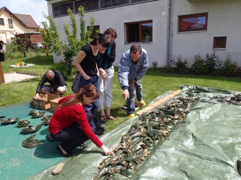 2013 - 2015 RESTAUROVÁNÍ OLTÁŘE z kaple sv.Bartoloměje, MgA.Blanka Valchářová, ak.mal. a rest.