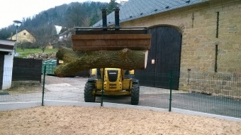 2017 Umístění části kmenu dubu červeného z dolního parku do výběhu (31.3.)