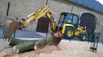 2017 Umístění části kmenu dubu červeného z dolního parku do výběhu (31.3.)