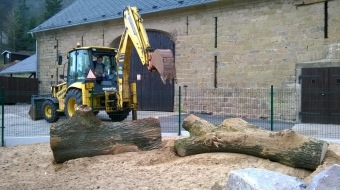 2017 Umístění části kmenu dubu červeného z dolního parku do výběhu (31.3.)