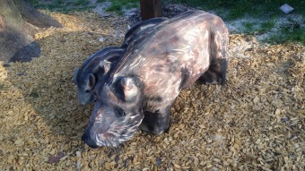 2018 Dřevořezby (24.7.)