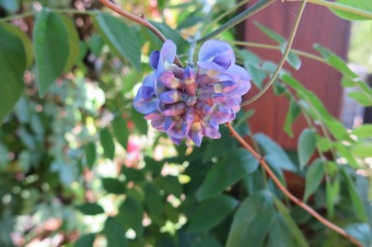 2018 Dřevořezby (20.9.)