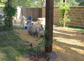 2018 Dřevořezby (20.9.)