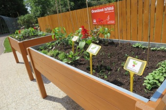 2018 Smyslový park - před otevřením (2.6.)