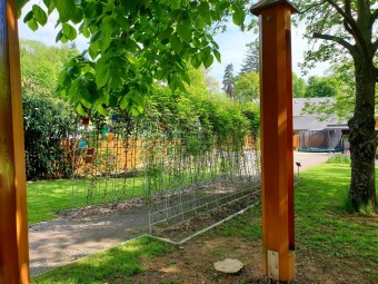 2021 Smyslový park - tunel plný vůně - akébie