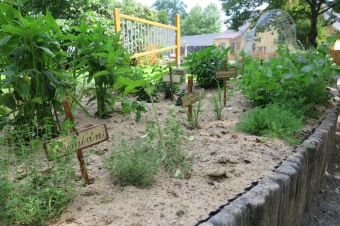 Smyslový park v Arboretu Žampach před otevřením 2.6. 2018