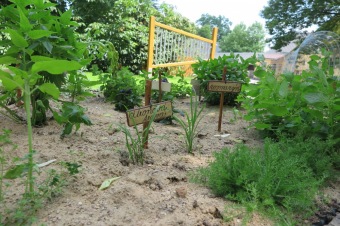 Smyslový park v Arboretu Žampach před otevřením 2.6. 2018