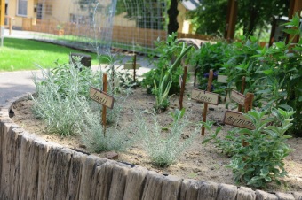 Smyslový park v Arboretu Žampach před otevřením 2.6. 2018