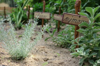 Smyslový park v Arboretu Žampach před otevřením 2.6. 2018