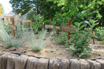 Smyslový park v Arboretu Žampach před otevřením 2.6. 2018