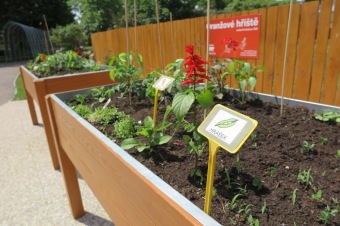 Smyslový park v Arboretu Žampach před otevřením 2.6. 2018
