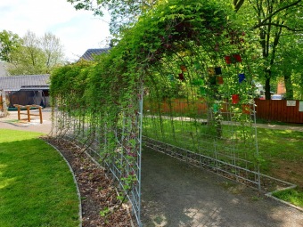 2021 Smyslový park - tunel plný vůně - akébie